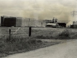 NL-HlmNHA_1100_KNA006016516